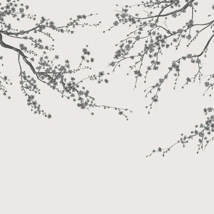 Papel pintado panorámico de flores en blanco y negro Sakura