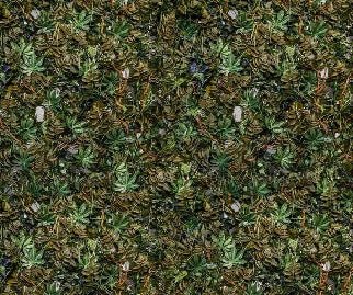 Papier peint panoramique trompe l'oeil mur végétal, XXL, tendance