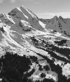 Papel pintado Aravis en blanco y negro