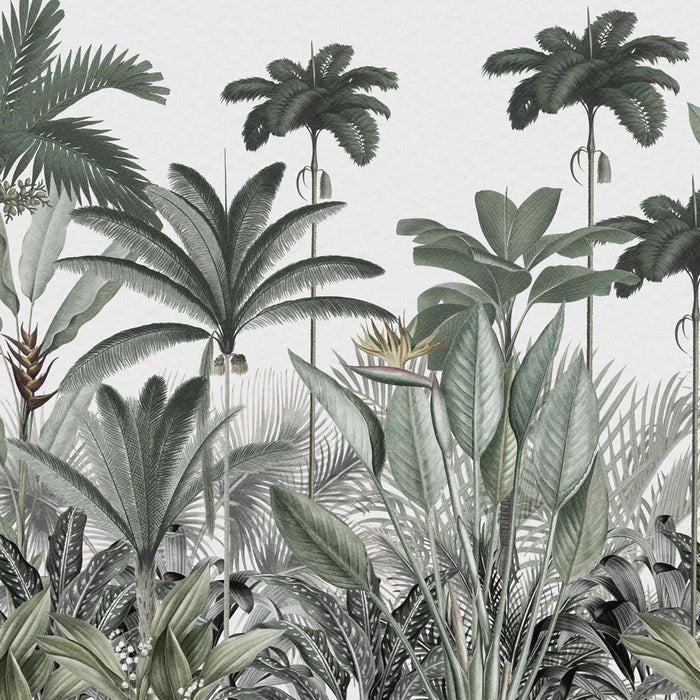 Papel pintado Árbol de la selva panorámico