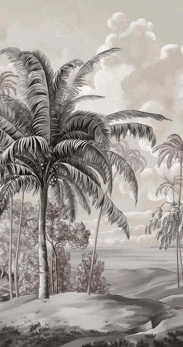 Papel pintado Paisaje de Célebes en blanco y negro