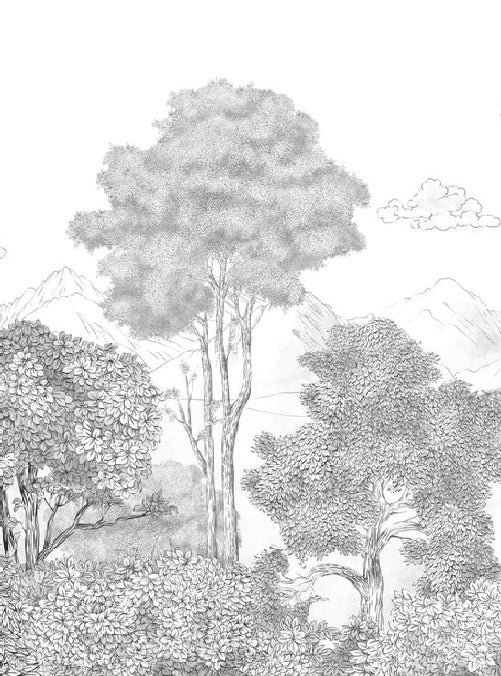 Papel pintado de Bosques y montañas panorámicos