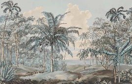 Papier peint paysage Célèbes bleuté, XXL, tendance