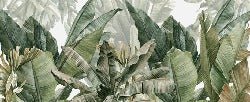Papel pintado panorámico Plátano verde