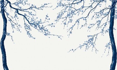 Papel pintado panorámico de flores blancas de Sakura
