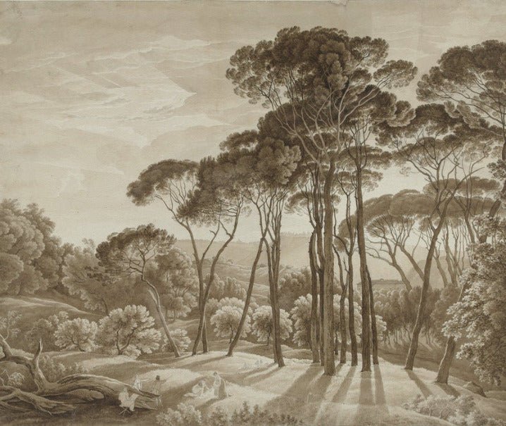 Papel pintado Paisaje panorámico italiano en ámbar