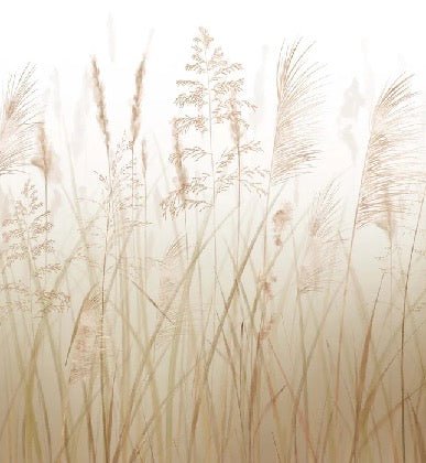 Fondo de flores de campo de trigo