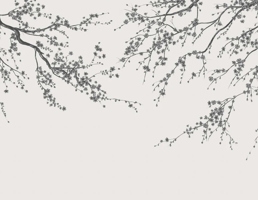 Papel pintado panorámico de flores en blanco y negro Sakura