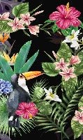 Papier peint Tropical & Toucan, XXL, tendance