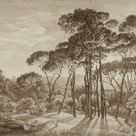 Papel pintado Paisaje panorámico italiano en ámbar