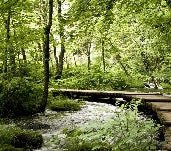 Papier peint bistrot trompe l'œil chemin forestier, XXL, tendance