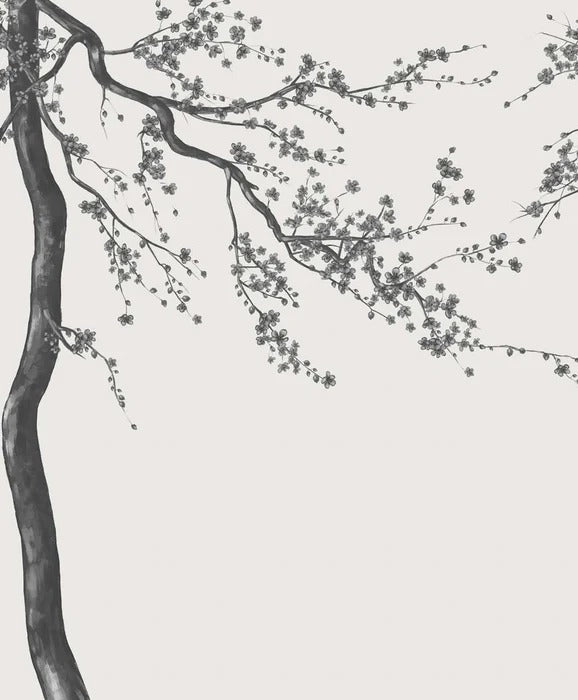 Papier peint panoramique fleur Sakura noir et blanc