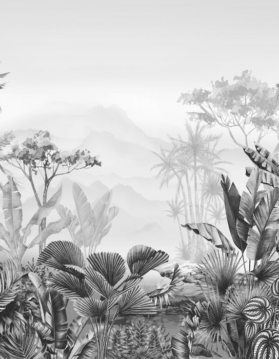 Papier peint tendance tropical noir et blanc