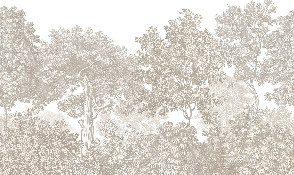 Papel pintado Paisaje bosque grabado beige