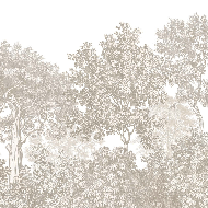 Papel pintado paisaje bosque grabado beige
