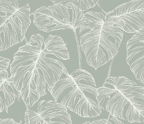 Papier peint feuille monstera sauge - Muralconcept