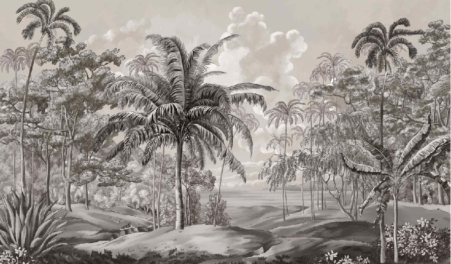 Black and white Sulawesi landscape wallpaper, XXL, tendance