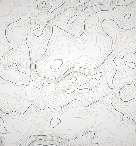 Papier peint ligne topographique - Noir et blanc - Muralconcept
