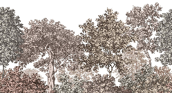 Papier peint paysage forêt gravure rosé - Muralconcept