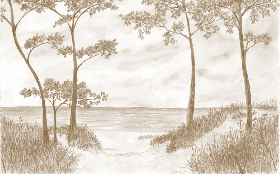 Papier peint Pins maritimes et dunes - Sépia - Muralconcept