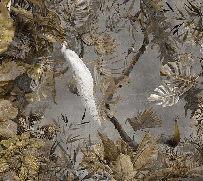Papier peint panoramique paon blanc impérial - Muralconcept