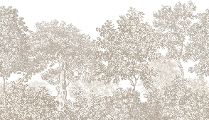 Papel pintado Paisaje bosque grabado beige