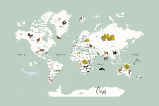 Papel pintado Mapa del mundo en francés para niños verde