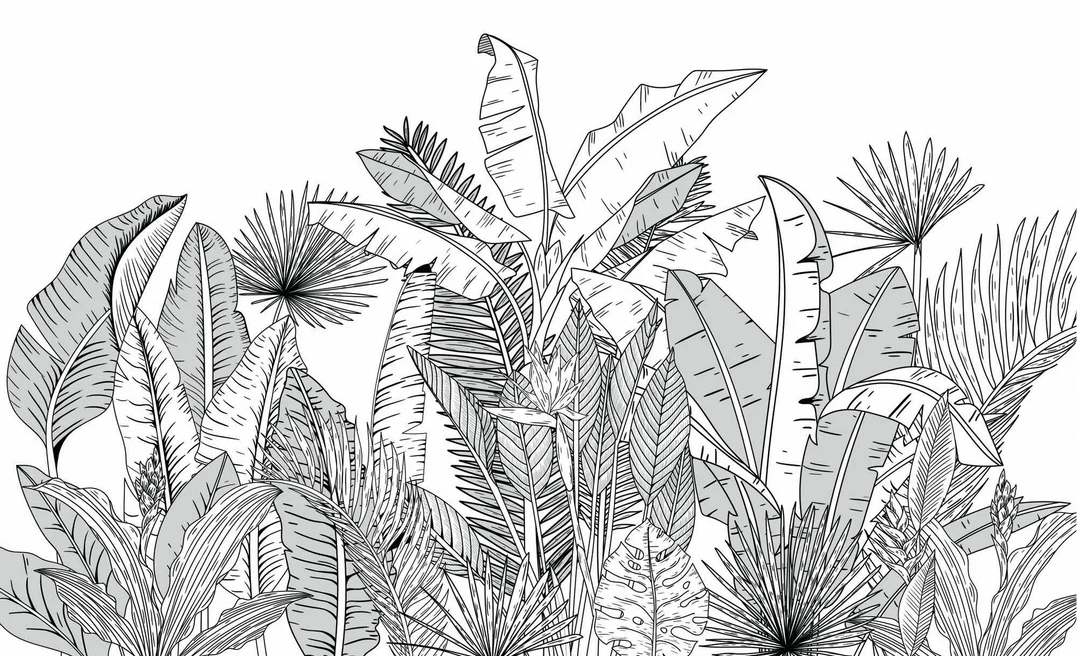Papier peint panoramique noir et blanc botanic leaf - Muralconcept