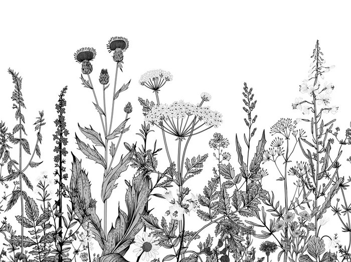 Papier peint botanique folk noir et blanc