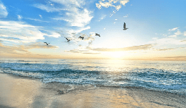 Papier peint Plage Paradisiaque - Muralconcept