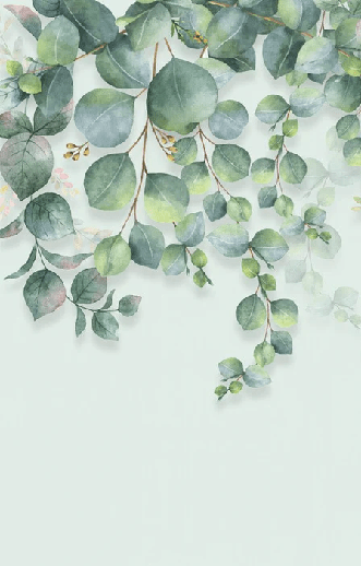Papier peint wc nature plante Eucalyptus - Muralconcept
