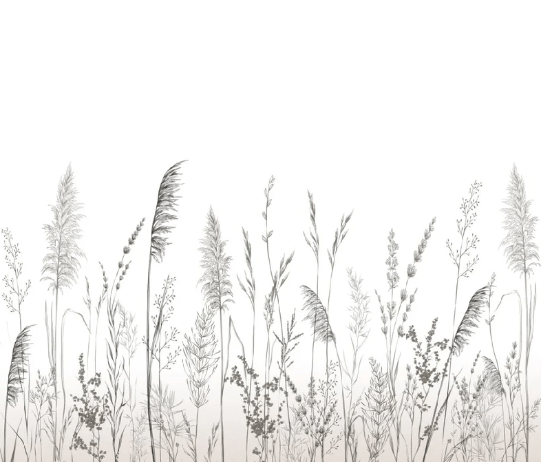 Papier peint poétique pampa, XXL, tendance