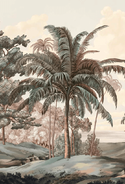 Papier peint paysage Célèbes terra
