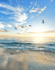 Papel pintado Playa paradisíaca