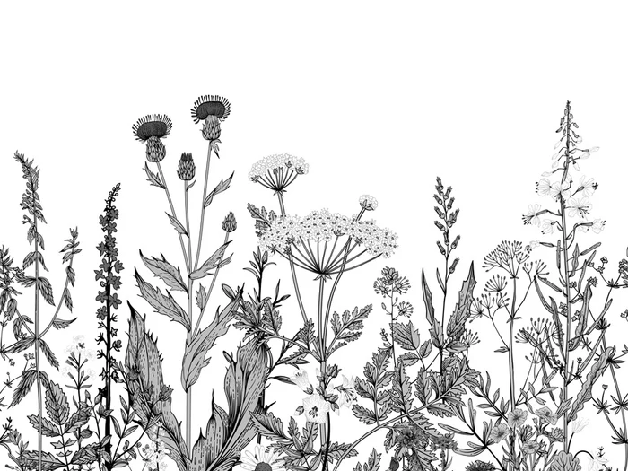 Papier peint botanique folk noir et blanc - Muralconcept