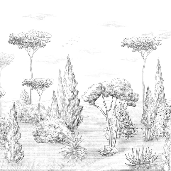 Papier peint panoramique forêt antique, XXL, tendance