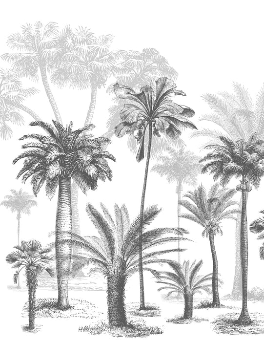 Papel pintado Jungla en blanco y negro