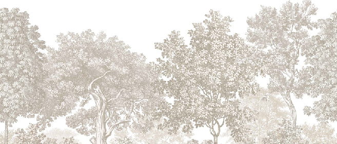 Papier peint paysage forêt gravure beige