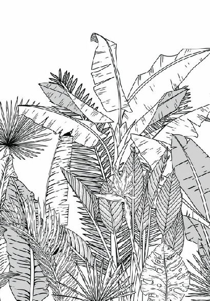 Papier peint panoramique noir et blanc botanic leaf