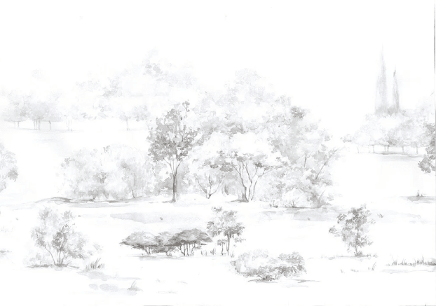 Papier peint forêt de pin aquarelle - Muralconcept