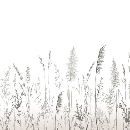 Papier peint poétique pampa - Muralconcept