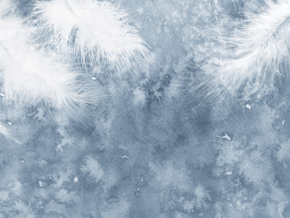 Papier peint Plume Blanche