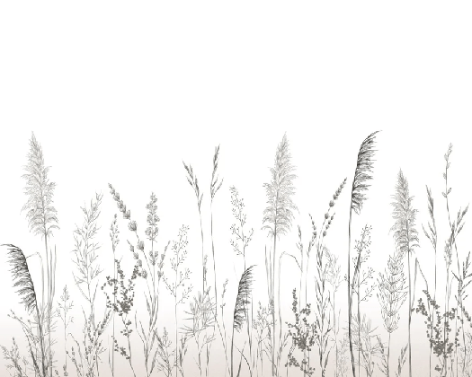 Papier peint poétique pampa