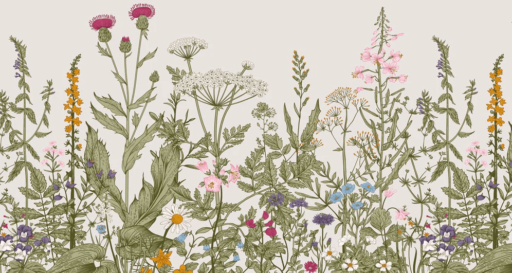 Papier peint bistrot botanique folk romantique, XXL, tendance