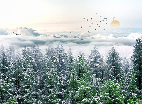 Papier peint panoramique intissé forêt de sapin neige