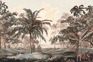 Papel pintado paisaje Célèbes terra