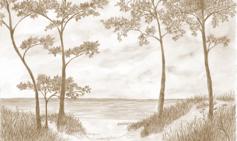 Papier peint Pins maritimes et dunes - Sépia - Muralconcept