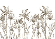 Papel pintado panorámico Palmera Sepia Acuarela