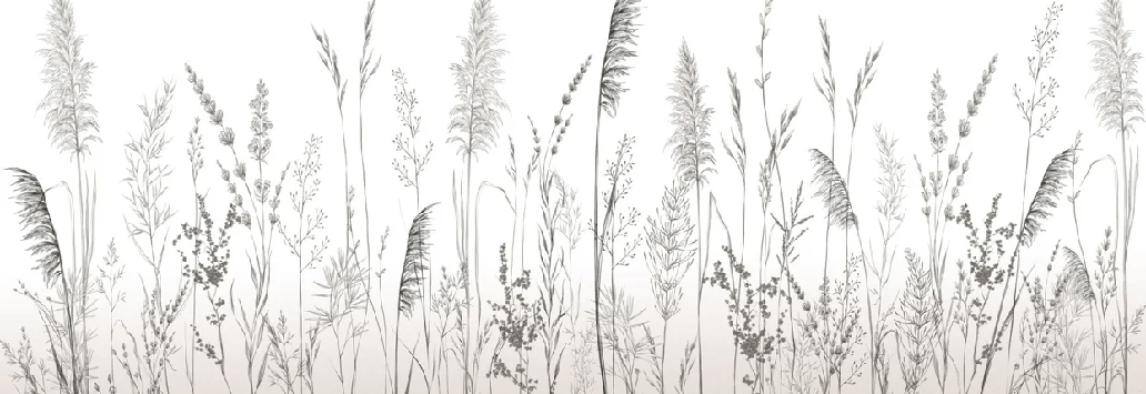 Papier peint poétique pampa, XXL, tendance