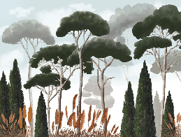 Papier peint sur mesure cyprès pins et herbes de la pampa